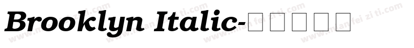 Brooklyn Italic字体转换